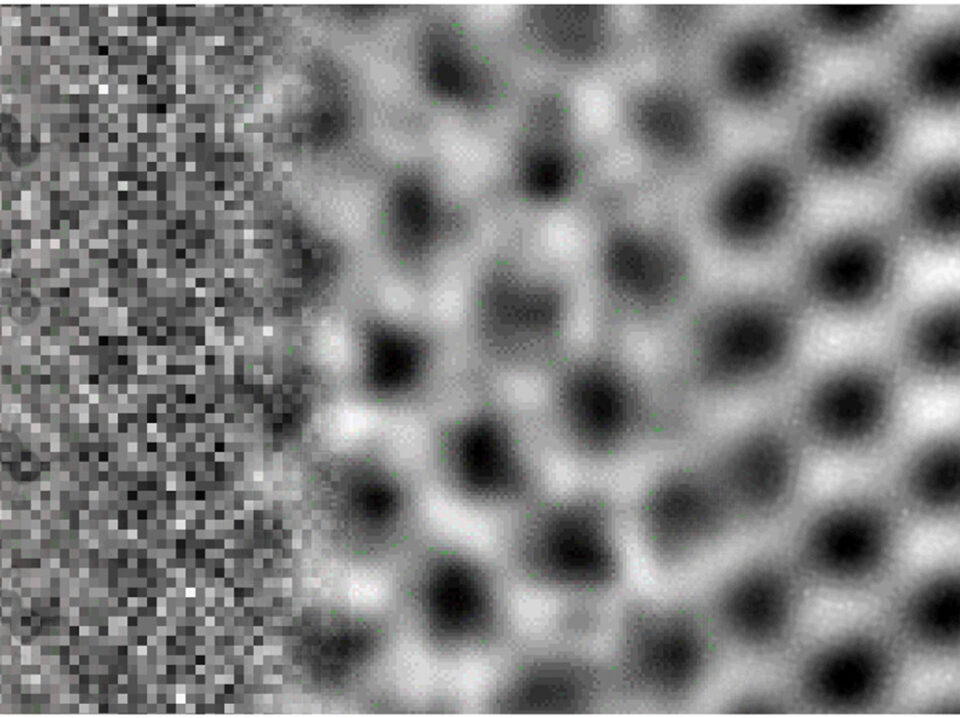 SenseAI imaging low dose polymer crystals SenseAI imaging low dose polymer crystals