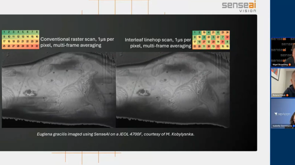 Volume EM imaging ask me anything april