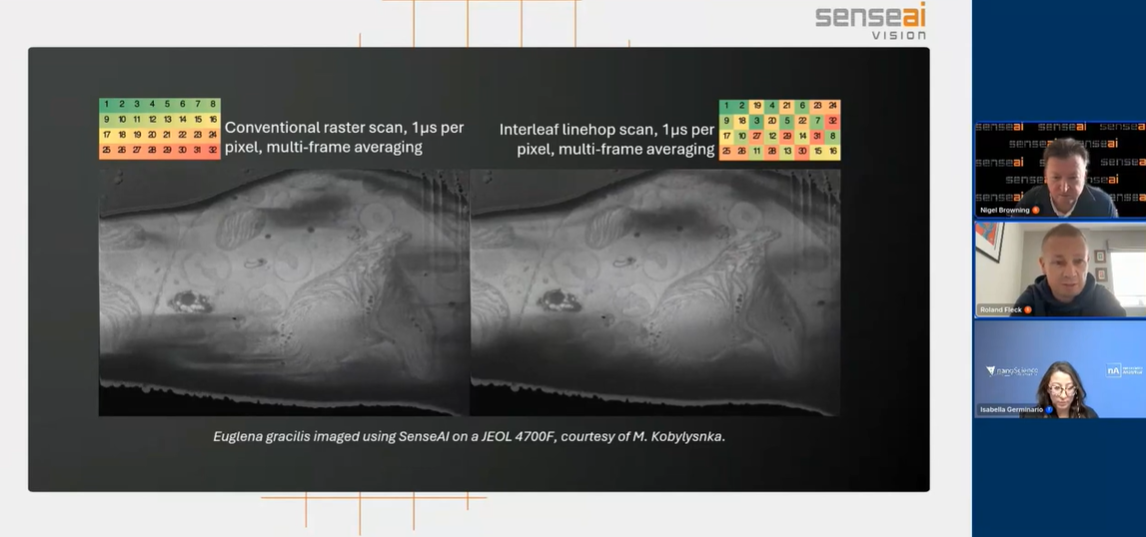 Volume EM imaging ask me anything april
