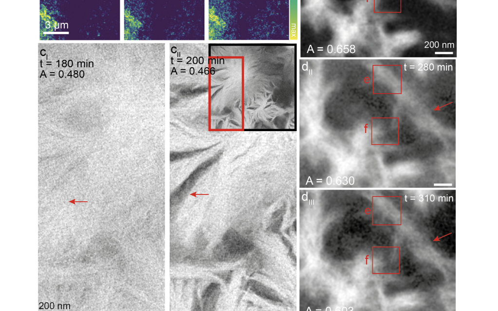 Radbout paper STEM imaging Radbout paper STEM imaging