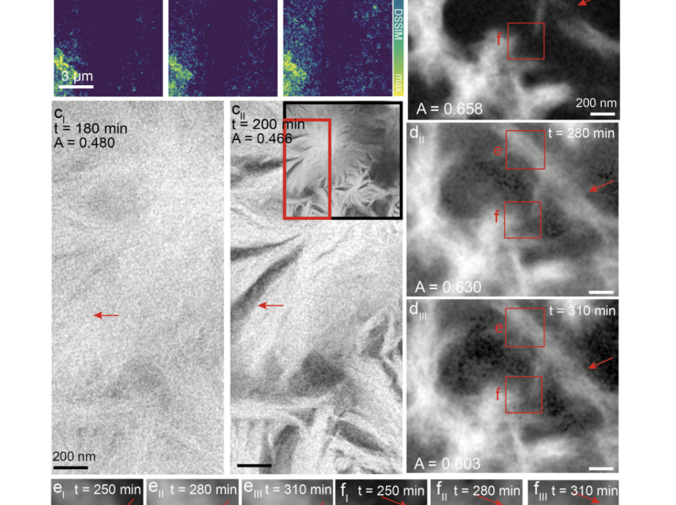 Radbout paper STEM imaging Radbout paper STEM imaging